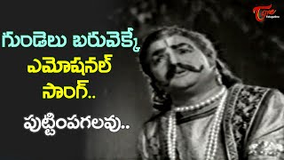 NTR Most Emotional hit Song  Puttimpagalavu Song  Palnati Yuddham Movie  Old Telugu Songs [upl. by Margarete]