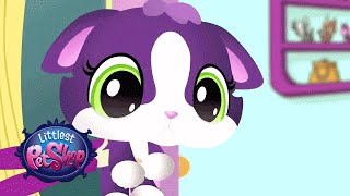 Littlest Pet Shop  Meow Manor [upl. by Hoem]