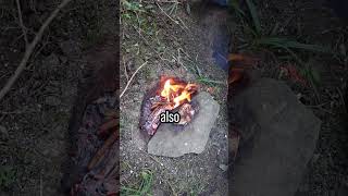 BBQ Hack will save your Life 🍖🍖 survivalskils [upl. by Aeneas]