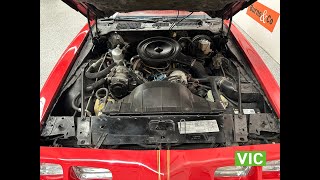 1978 Pontiac Firebird Redbird Coupe  Engine Video [upl. by Hairabez]