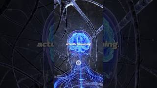 How to reprogram your subconscious mind EFFORTLESSLY  Innertune Affirmations [upl. by Elleret336]