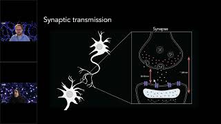 Zooming Into Synapses Tips for Using SMLM in Neuroscience Research [upl. by Carmita]