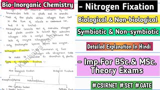 Nitrogen Fixation  Basic Concept  Types  Handwritten Notes  bscnotes bsc mscnotes [upl. by Massiw]