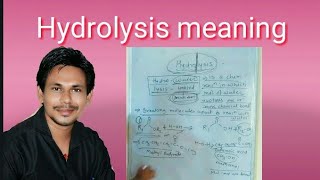 Hydrolysis meaning [upl. by Wainwright]