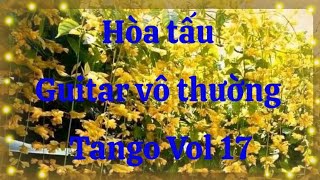 Hòa tấu GUITAR VÔ THƯỜNG TANGO Vol 17 [upl. by Kcinemod]