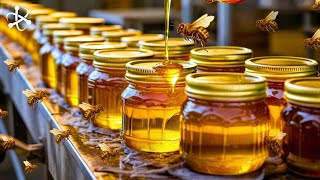 5 Surprising Stages of Honey Making  From Bee Hive to Jar [upl. by Demetria186]