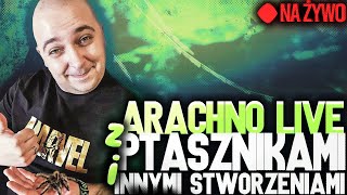 Arachno LIVE 87 Wieczorne prace na hodowli [upl. by Marian]