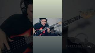 Bass Cover Zephyr Song  Redhot Chilli papers [upl. by Friedrich]