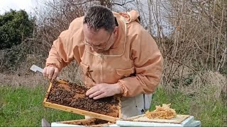 Comment aider vos abeilles à se développer rapidement  Quelques réponses  Apiculture S03E03 [upl. by Ratcliffe]