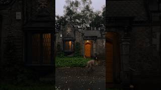 the gatehouse through the seasons ☘️ cottagecore darkcottagecore [upl. by Ahseuqal]