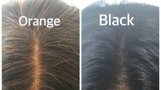 How to color hair black naturally using Indigo powder indigopowder [upl. by Ylra]