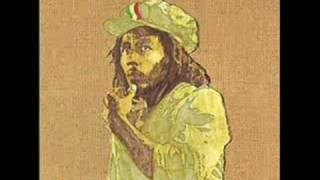 Bob Marley amp the Wailers  Rat Race [upl. by Gambrill]