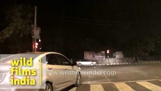 Lado Sarai and Mehrauli to IIT flyover and Yusuf Sarai night driving video [upl. by Oiliruam179]