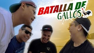 BATALLA DE GALLOS CON LUISITO REY Y TEAM JUKI  GUATSI VLOG [upl. by Manning154]