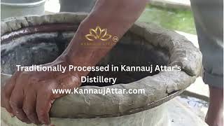 Kannauj Attar  Indias First Attar Making Company KannaujAttarcom [upl. by Kreindler]