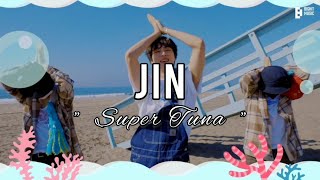 BTS  JIN   Super Tuna  indo lyrics [upl. by Ahseyt]