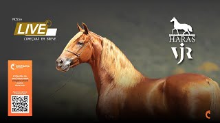 Live Haras VJR [upl. by Sakiv]