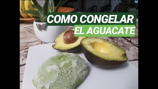 Cómo congelar el aguacate en casa [upl. by Lleral]