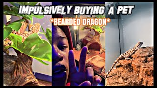 Impulsively Buying A Pet  Bearded Dragon  Lowkeylit Mar [upl. by Nednerb]