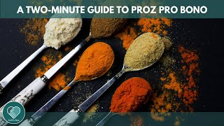 ProZ Pro Bono a 2minute guide [upl. by Eiraminot]