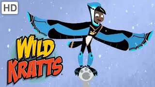 Wild Kratts 🌨️ Soaring through the Snow  Kids Videos [upl. by Meibers]