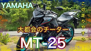 2024年販売モデル【MT25】扱いやすさ250ccダントツかも！乗り換えするなら良さがわかるバイク [upl. by Yaron]