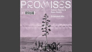 Promises Extended Mix [upl. by Dulsea]