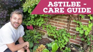 Astilbe Care Guide  7 Easy Steps [upl. by Eilram42]