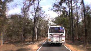 Driving from Kanha to Jabalpur in Madhya Pradesh [upl. by Jasmine]