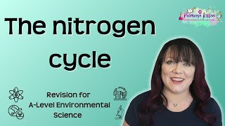 The nitrogen cycle  Revision for Environmental Science ALevel [upl. by Aramanta540]