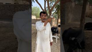 Ja Meri jindagi aankh dekhkar foryou funny comedy comedymovies shorts [upl. by Norrat]