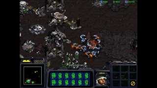 StarCraft Brood War  How to Tame a Wild Torrasque [upl. by Scriven317]