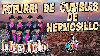 Popurrí Cumbias de Hermosillo En Vivo  La Brazza Norteña [upl. by Desai762]