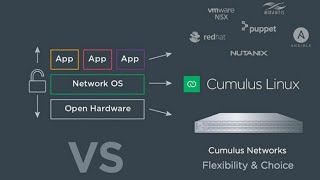 How to add Cumulus Switch in EVENG [upl. by Alilak]