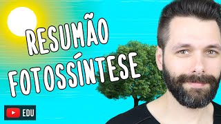 RESUMO sobre FOTOSSÍNTESE  Biologia com Samuel Cunha [upl. by Marybella]