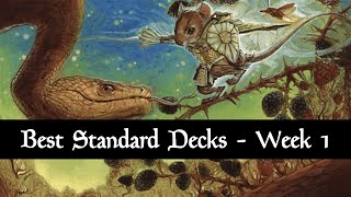 Best Standard Decks  Meta Review  August 2024  Bloomburrow  Week 1  MTG Arena [upl. by Donalt120]