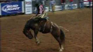 Saddle Bronc Riding  HRS Rodeo [upl. by Latton106]