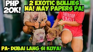 MAG ABROAD PALA KAYA MURA NA EXO BULLIES NYA GANDA PALA SHICHON DOG [upl. by Fattal]