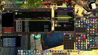 World of Warcraft Addon Watch Auctionator [upl. by Ajnotal]