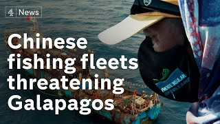 Chinese fishing fleets threatening fragile Galapagos ecosystem [upl. by Whitver]