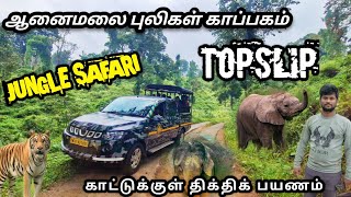 Topslip Tourism  wildlife tourism  டாப்சிலிப் சுற்றுலா  anamalai  Karaikudi Pandya USV [upl. by Frame]