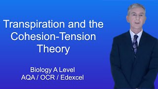 A Level Biology Revision quotTranspiration and the CohesionTension Theoryquot [upl. by Hajidahk992]