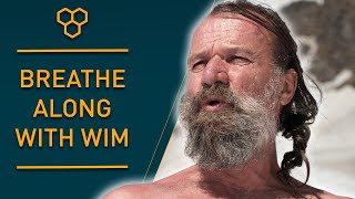 Breathe Along with Wim Hof  Guided Breathing [upl. by Selina161]