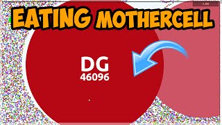 WORLD RECORD LARGEST MOTHERCELL  AGARIO PRO PLAYS [upl. by Roper191]