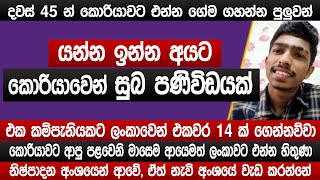 කොරියාවට යන්න ඉන්න අයට සුබ පණිවිඩයක්  දවස් 45 න් ගේම ගහන්න පුලුවන්  Korean exam 2024  Sinhala [upl. by Reppart882]