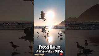 A Whiter Shade Of Pale  Procol Harum [upl. by Wetzel]