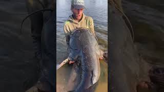 Obrovský sumec z řeky jakubvagner fishing rybaření catfish extremefishing sumec bellyboat [upl. by Hickey487]