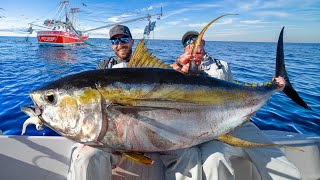 Giant Yellowfin Tuna Under Shrimp Boats Catch Clean amp Cook NLBN Lure Tuna Fishing [upl. by Halyak894]