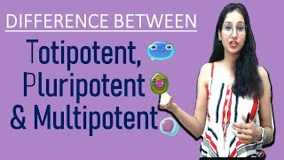 Difference Between Totipotent Pluripotent and Multipotent I NEET GATE CSIRNET IITJAM DBT ICAR ICMR [upl. by Elleiram460]