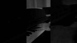 Chopin  Nocturne in C Sharp Minor [upl. by Schug]